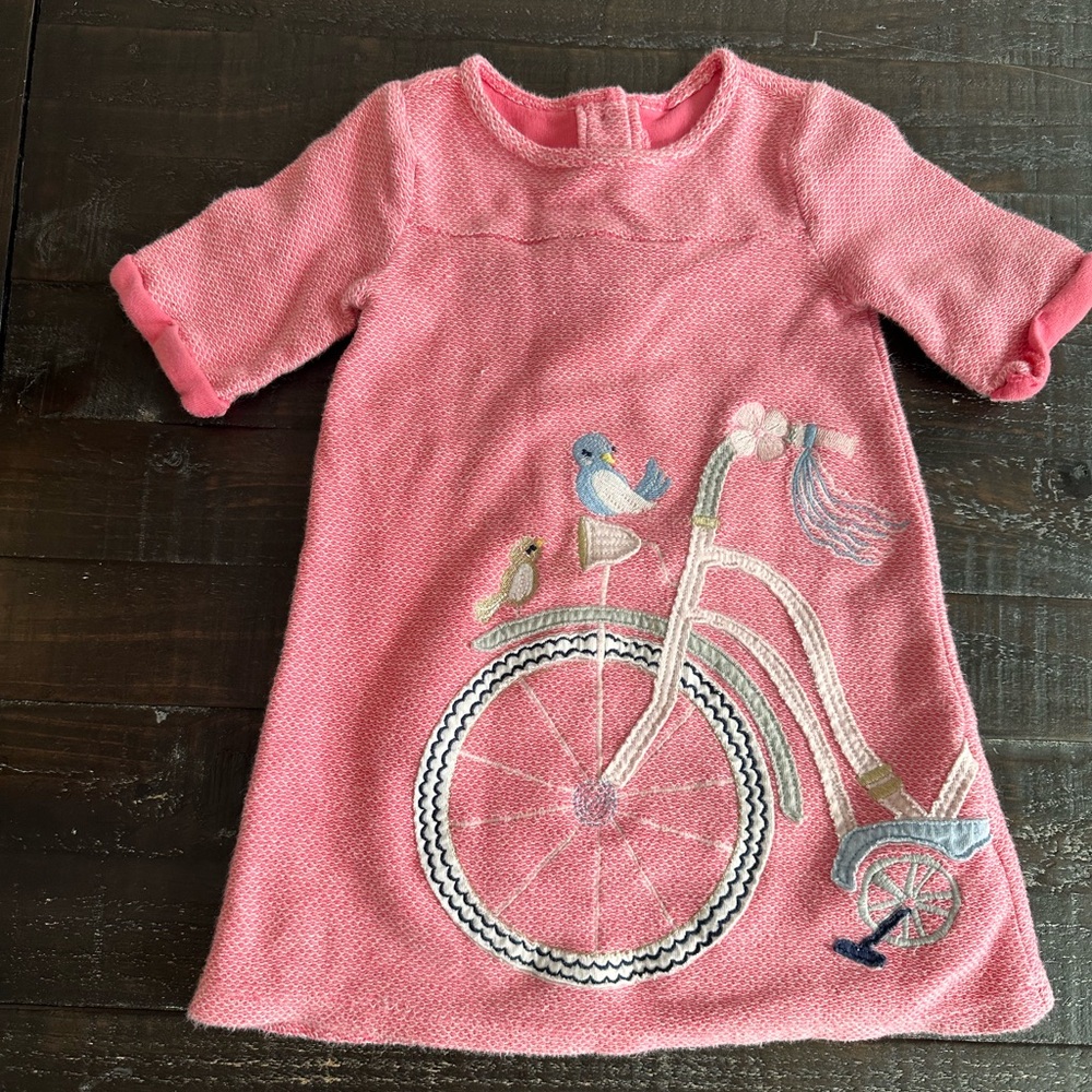 Gymboree Pink birdie on a bike Dress